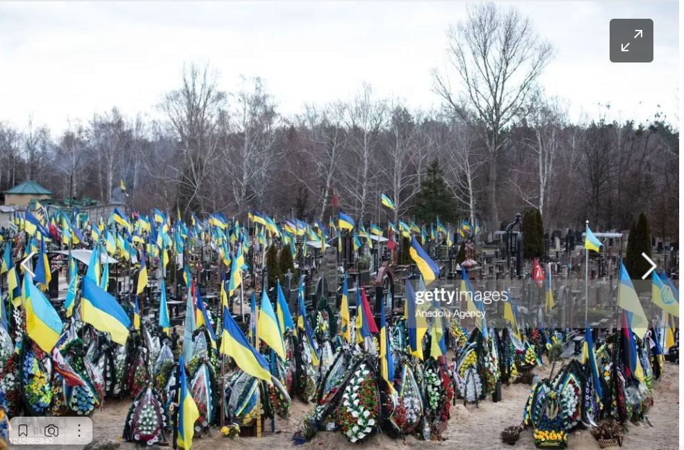 ������ ���� 204 ��������� ��������������� ������� ������� � ������������� ����������� ����� ��-��� ������� (���������)