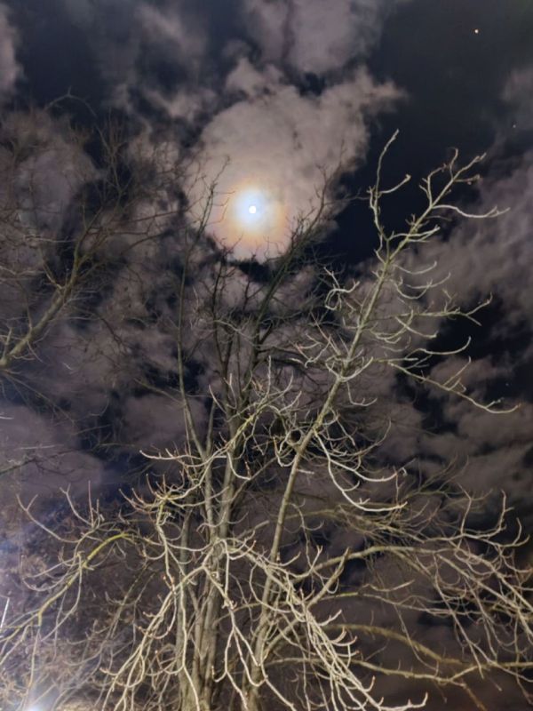 ������� ���������. �������������� ���� ����� �������� �������. �� ���� ��������� ������ ����