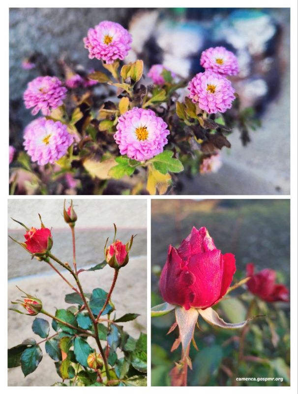 ��������������� ���� ��� �����