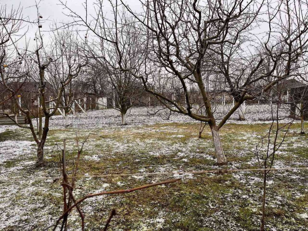 � ������� ����� ������� ����� �� ���������