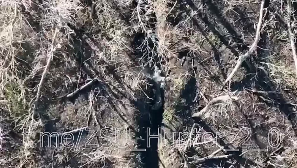 ����� ������� � ����� �� ������� ���. �� �����, �����