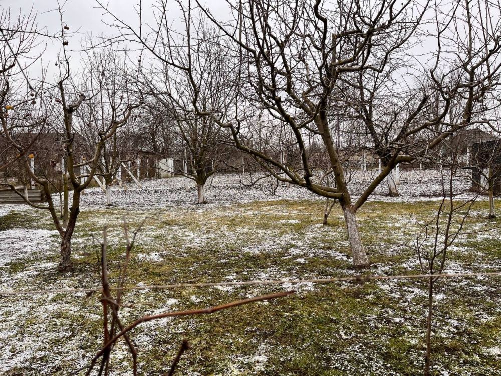 �� ��������� ���� ��� � �� �����, � ��� ������� �����������