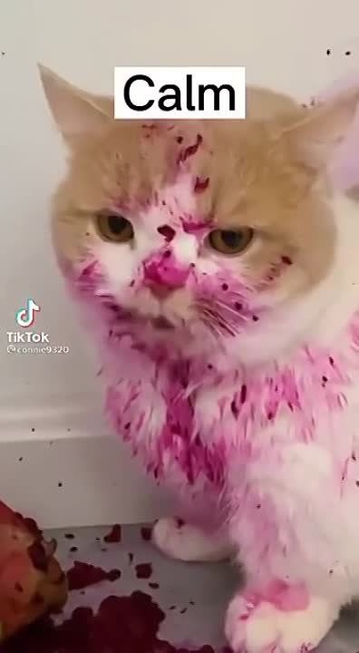 ��� � ������� ������ ������� ��� �����, ������ ��� ����� �����������