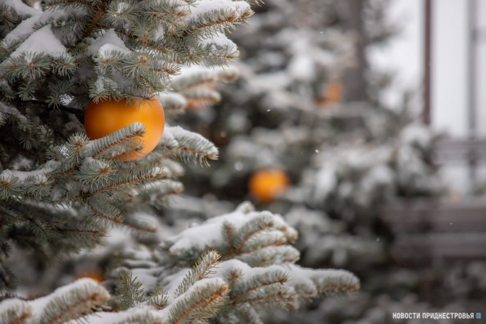 ��������� ������������ �� ���� � ���� 9 ������ ����, �������