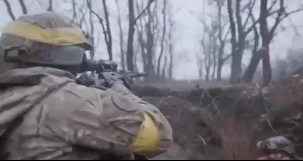 ���������� ��� � ������������ ��������