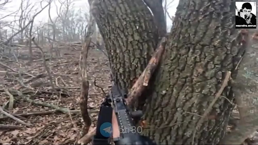 ������� ����� ������ ����������� �������� �� ������� ����