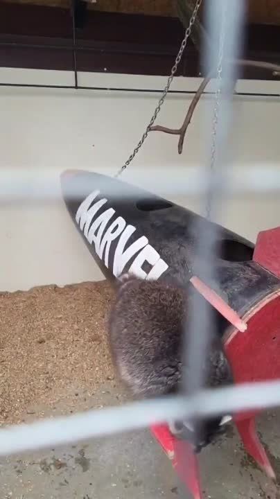 ����� ������� � �������������� �����