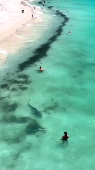 ���������� � ��������� ���������� �������� ����� �������� �� ������ �� ���������� �����