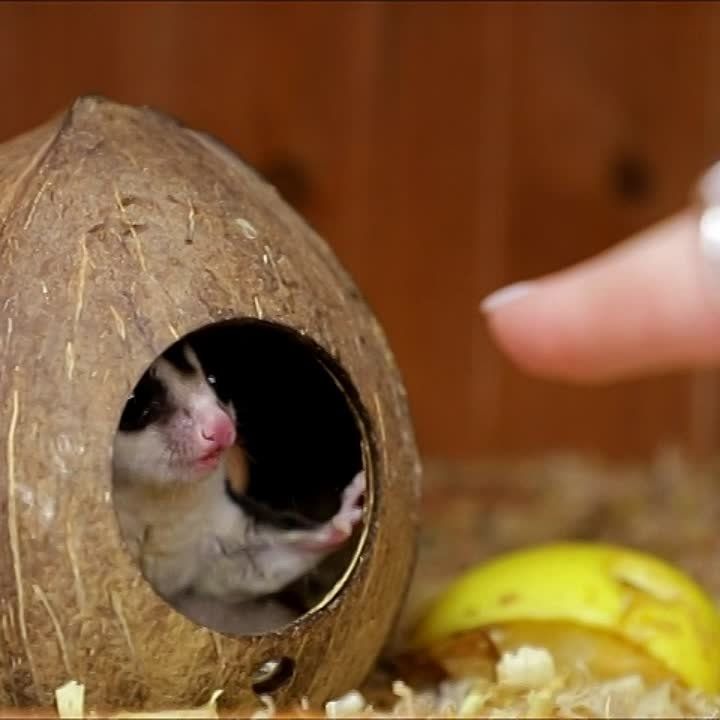 �������� �� ������. �����-������ ���� � ����� ���������� � ��������� ���������� ��������. ��, ��� ������. � ��, ��� ��� �� ��������. ����� 150 �������, ���� ������, ���� ����, ������ �����