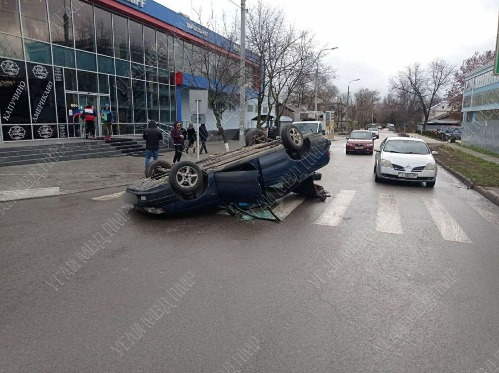 ������ � ���������. ���� �� ������� ������