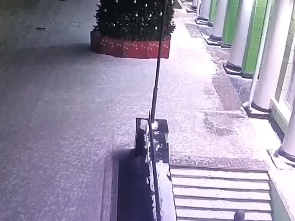 ��������� �����������, ������ ������ ����