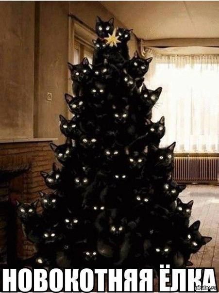 � ������������� ���������� 90% ���� � �����, ������������ �� ������� ������