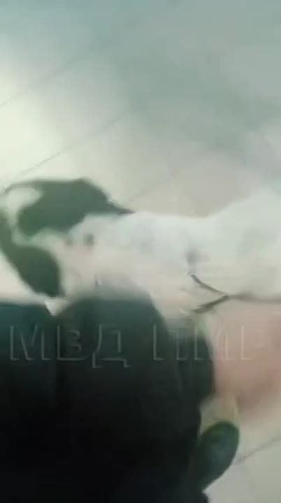 ���� ������� ���� �������