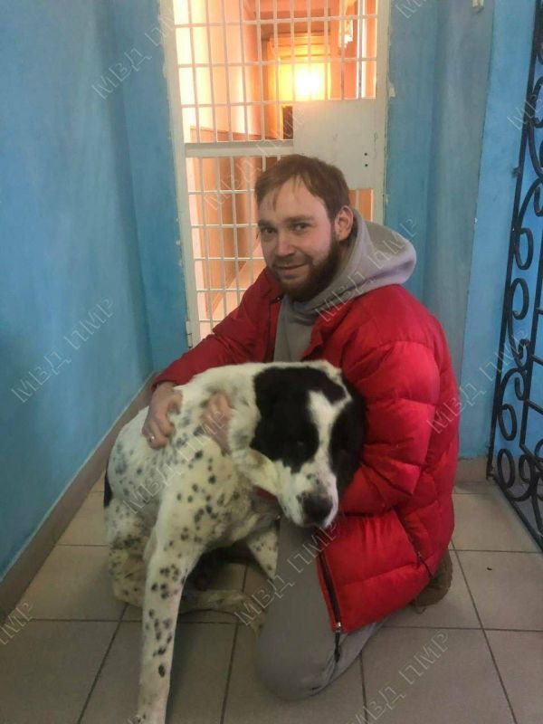 ������� ������ �������. ��������� ��� ������� ������� ����� �����. ��� �����, ��-�� �������� ����� ��������� ������ ������� ������� � ������, ��� ���������� ������. ������� ������ ���� ������