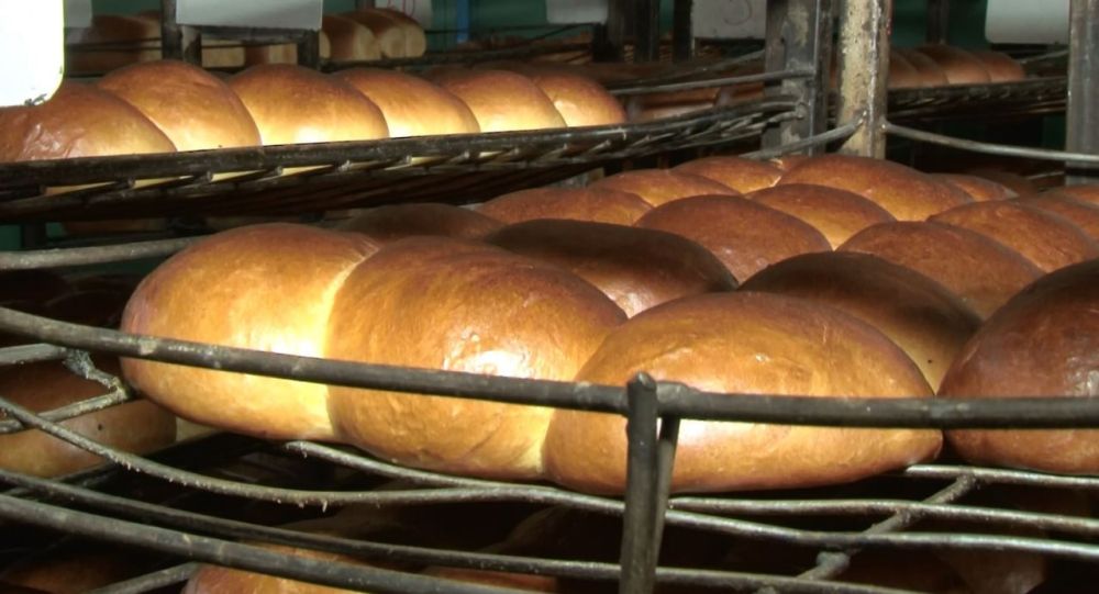 ���� �� ���� � ���� ���� ����� �������