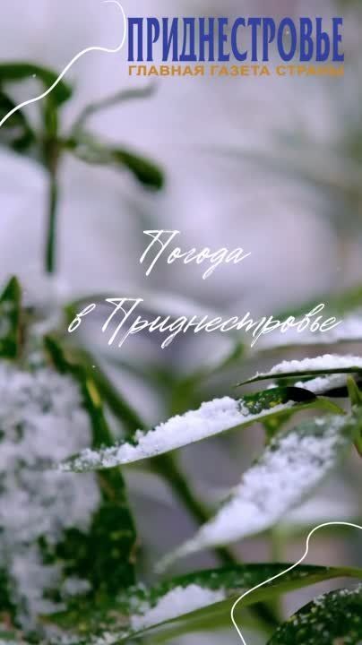 10 ������ ��������� �������� � ������������ ������, ���� ������� ������ �����