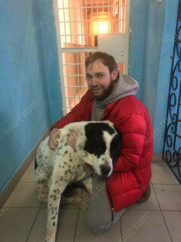 ������ �������. ������ ���� ������������, ����� �������� ��������� ���� �������