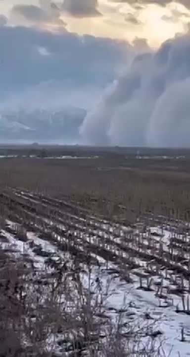 ���������� ��������� ������� ����� �� ����� � �����������