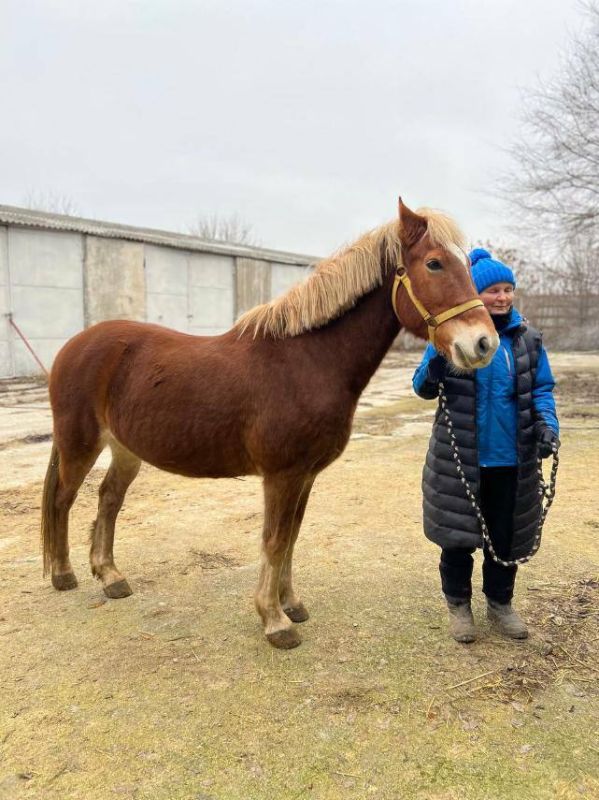 �������������� ���� � �����-���������� ����� �����