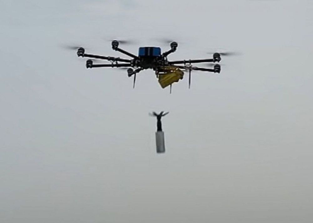 � ������� ������� ������ ������� �������������� ����� ����� ������������