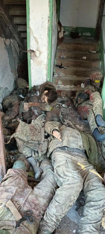 � ��� ������ ����������� ����