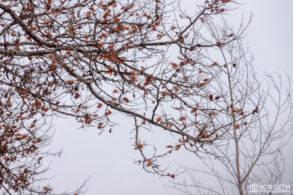 ������� � ������� ��� � ������� ��������� ������ ����� �� 14 �/��� � �������������