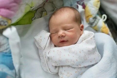 � 2022 ���� � ��������� ������ �������� 111 �������: 64 �������� � 47 �������