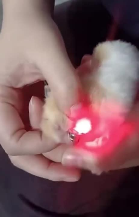 ����������� ����� ������� �� ���� �������� ������� � ����������� � ����������� ������