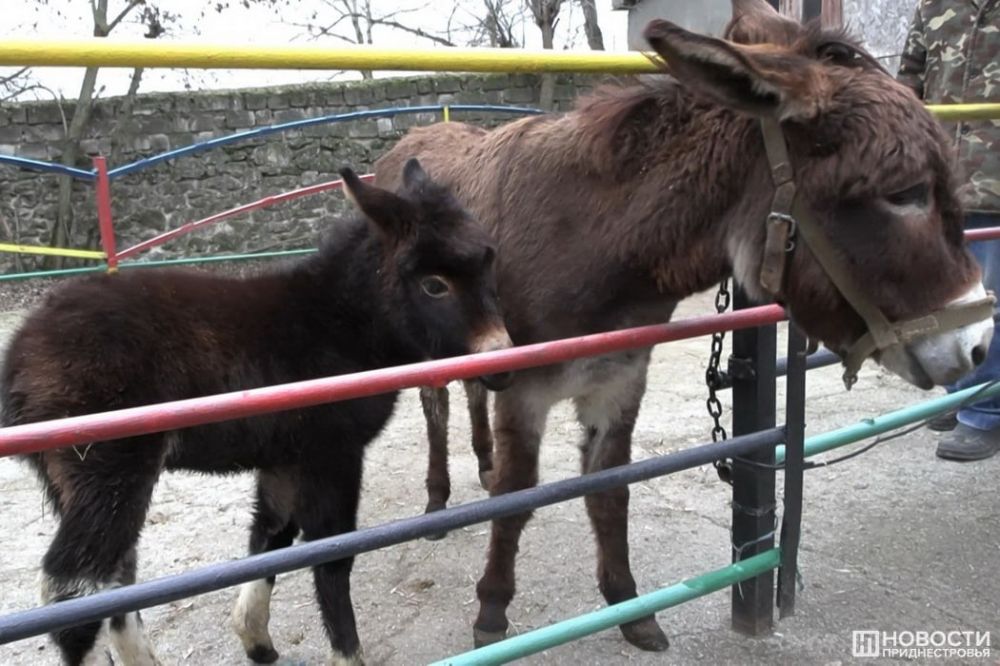 ��� ����� ����. � �� ����� ��� ������. � ������������ �������� ��� �������� ����� ����� �����. ������ ������� ������ ���� ��������� � ��� ������ ����������� ��������