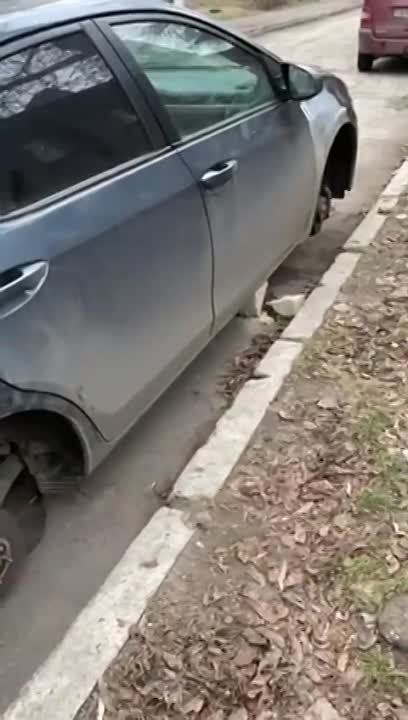 ������� � ������ ظ������� � �������� ����� ������ � ��������������� � ���� ����������