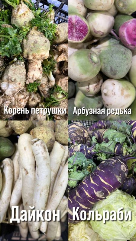 ���� ������ ����� �������� � �����