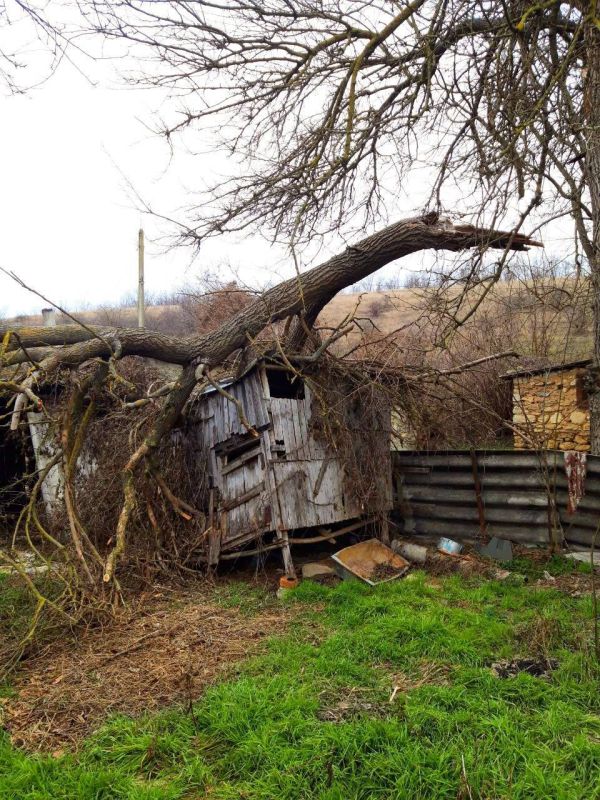 �������� ��������� �������� ����������, ����� �� ��� ������� ����� ������� ����� ���������