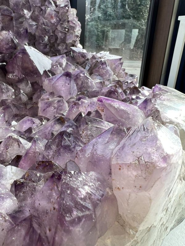 �������� ������� ������� �� ������������ ����� ������ ������������ ������ �� ��������