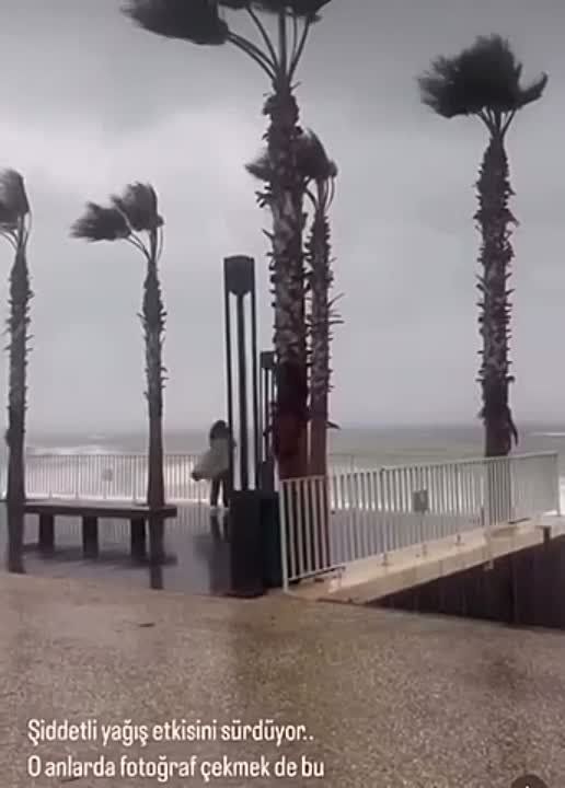 � �������� ������� �� ������� �����