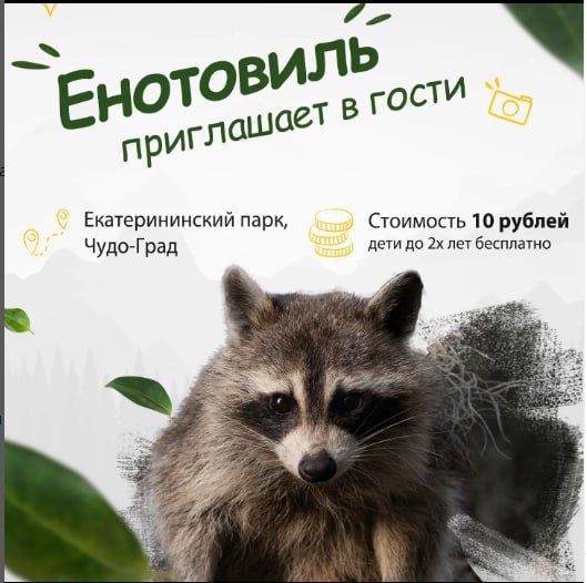 ����� - "�������", ������ - "���������"