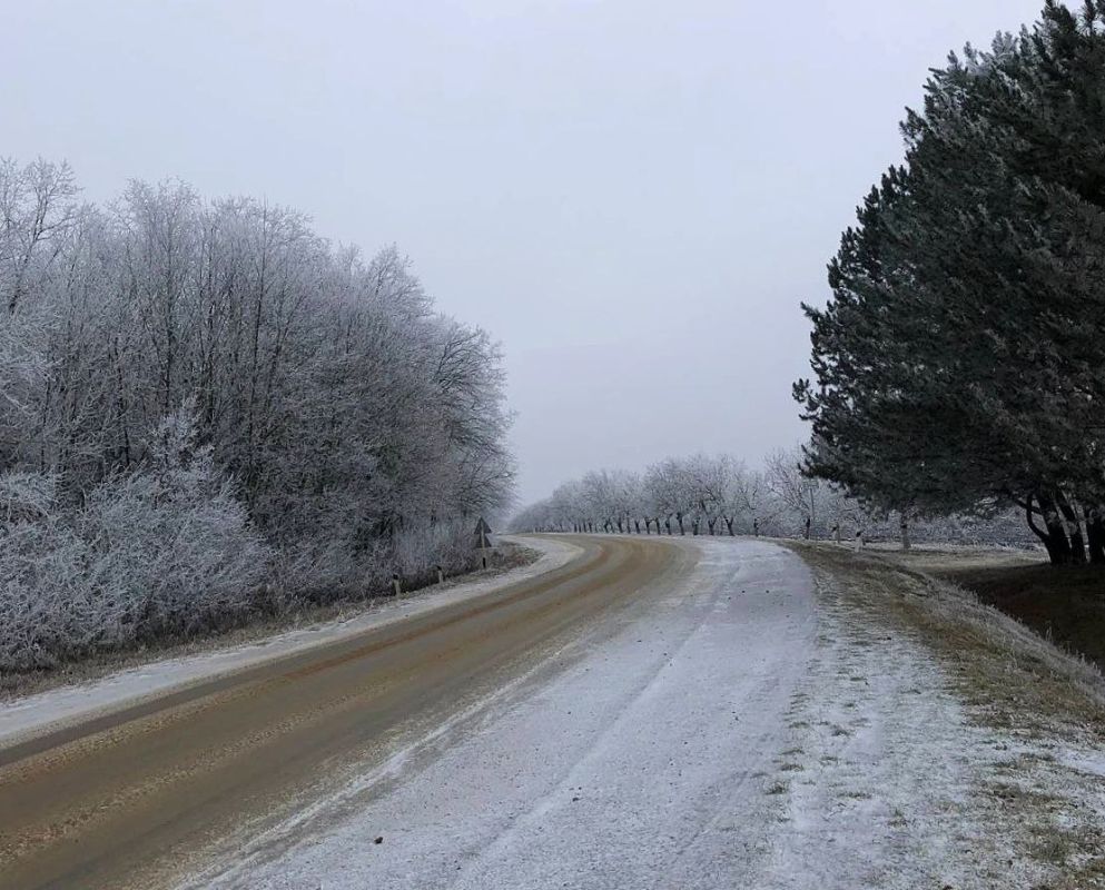 ��� ����� ������� ������ � �����������