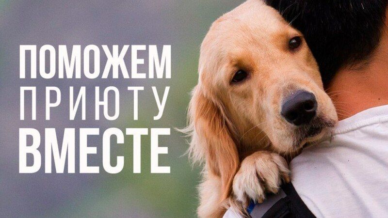 ��� ������ ��������� ��������?