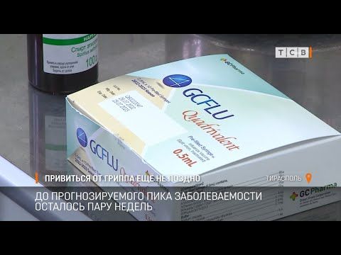 � ������������� ������ ������ �� ������. ������ 44-������ ���������� ���������, ����������� ����������� � ������� �� ����....