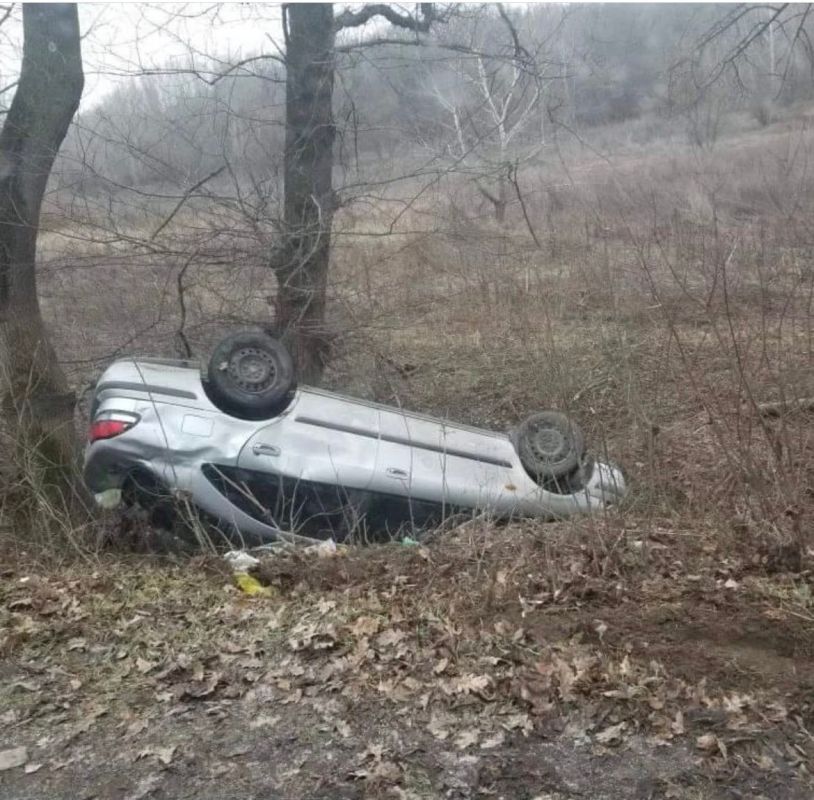 � �������� ������ �������� �� ������� � �������������