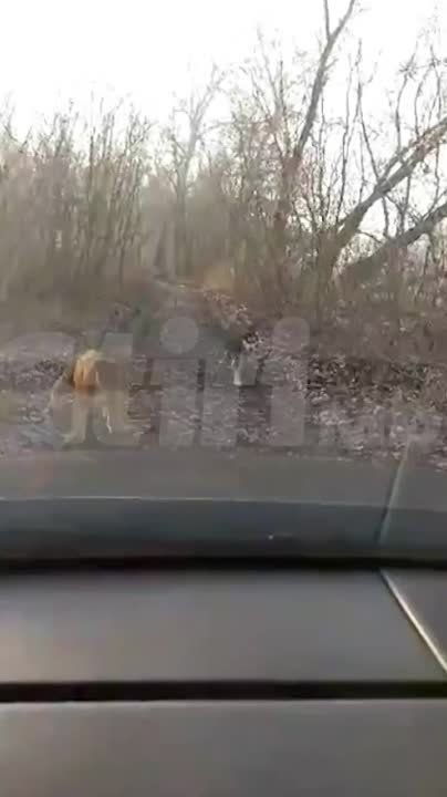 �� ������� � �������������� �������� ����