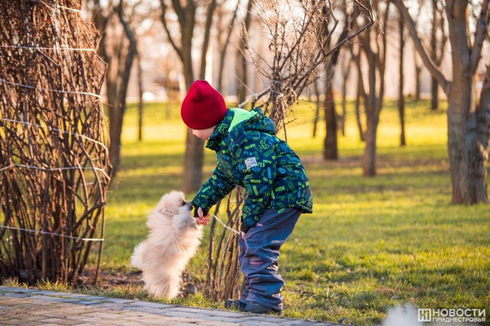 ����� � ������ ����� ����������