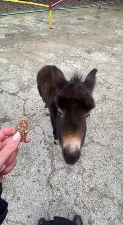 ��� ���������� ������ ���� � ����? ������?