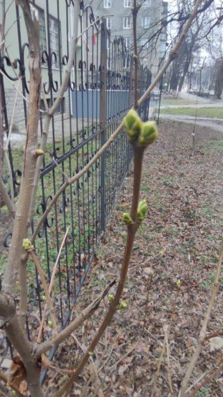 ����� ��� ������ ���������� ����� ����� ��������������� ����� ����