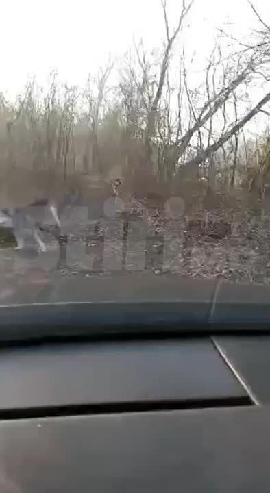 � ���������� � ���������� ������� �������� ����