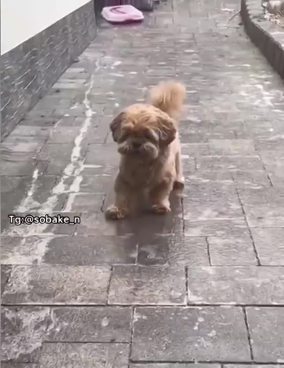 ������� �������, ������� ����� ����� ��� ������� � ���, ��� ������������� ���������� �� ������