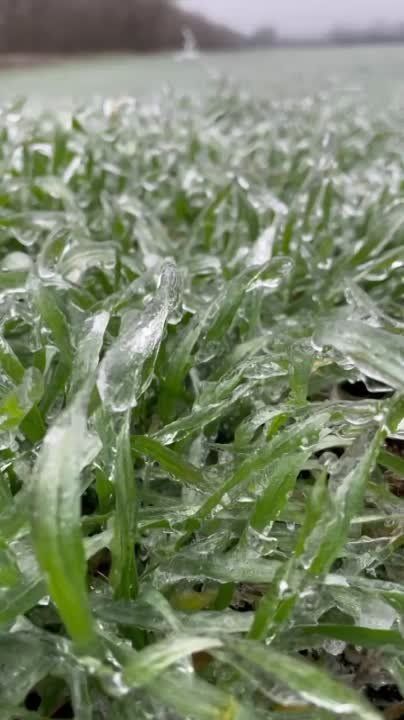 �������� �� ������. �� ������ ������������� �������� ������� ��������. �� �� ����