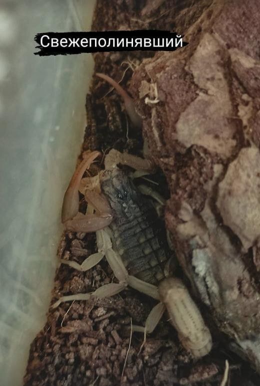 � ��������� ��������� ������� ��������