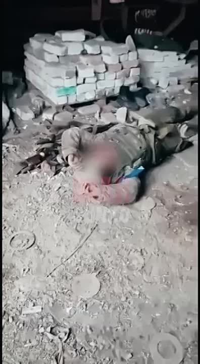 ���������� ������� �������� � ����������� ������ ��������