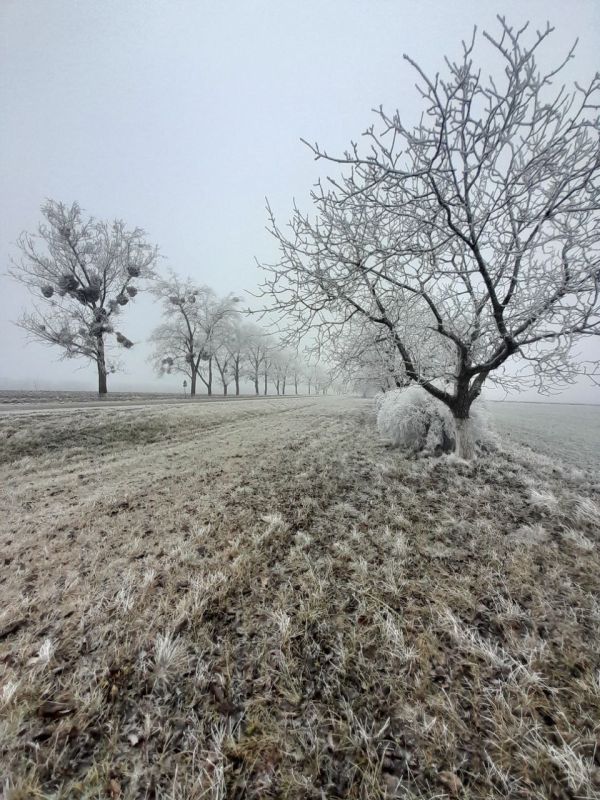 ������ ���������� ������������ ��������