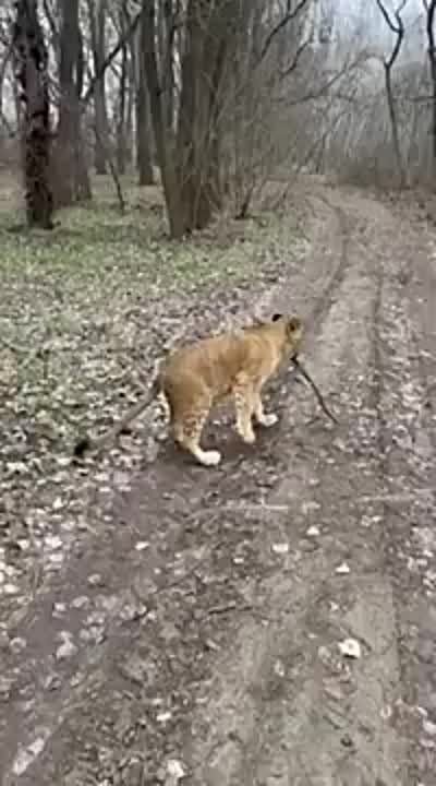 ������ �������������, ������ � ���������� ���� ������ ������ � �������